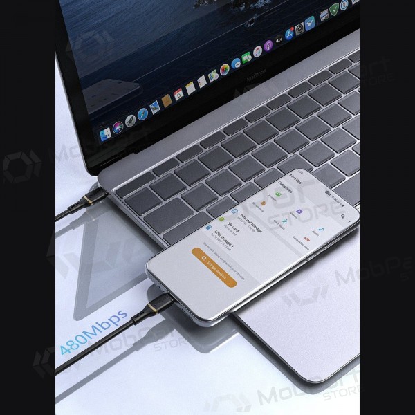 USB-C-Kabel Dudao L25C USB-C auf USB-C 1 m 60 W schwarz