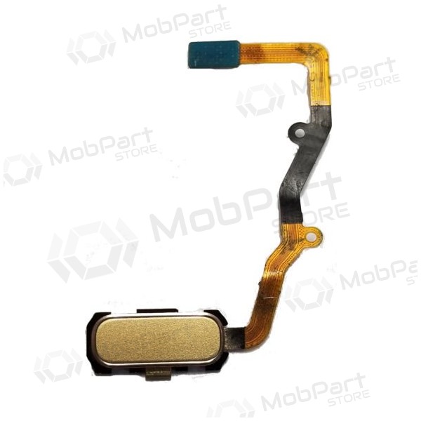 Samsung G935F Galaxy S7 Edge HOME-Tastenanschluss (Golden ) Samsung G935F Galaxy S7 Edge HOME-Tastenanschluss (Golden )