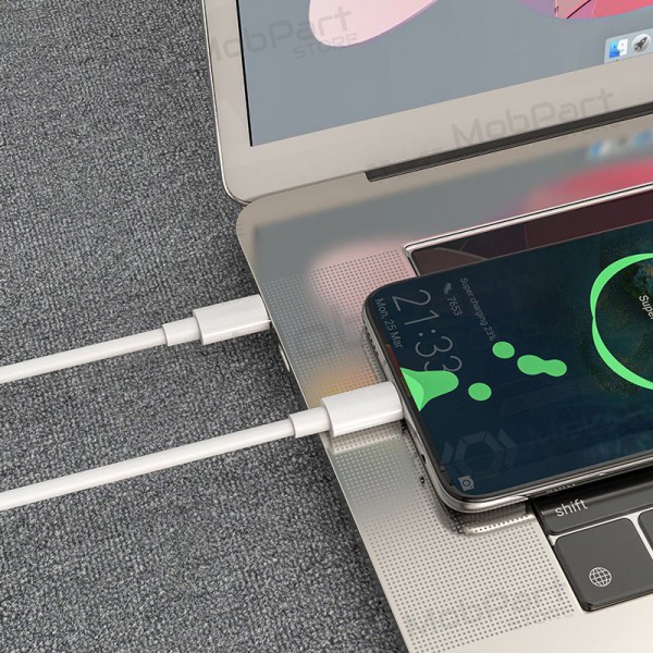 USB-Kabel Hoco X51 Type-C - Type-C 20V 5A 100W 2.0m (weiß)