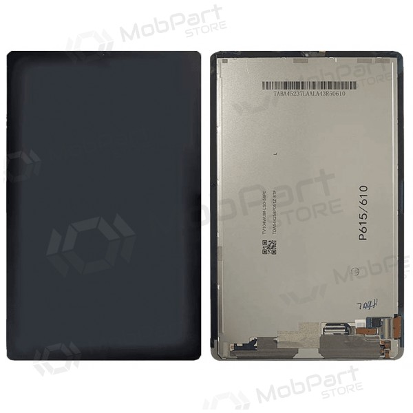 Samsung Galaxy Tab S6 Lite 2024 Bildschirm (original)