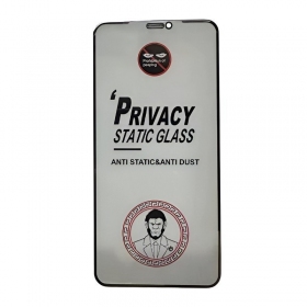 Samsung Galaxy S24 Schutzglas - ESD Anti-Static Privacy