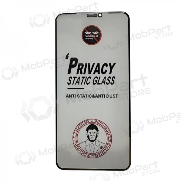 Samsung Galaxy S24 Schutzglas - ESD Anti-Static Privacy