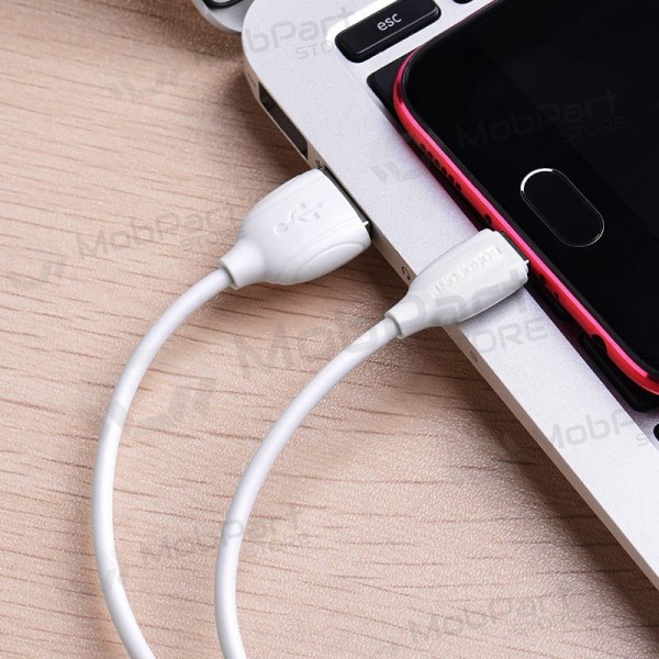 USB Kabel Borofone BX19 USB-A to MicroUSB 1.0m Weiß